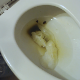 A big-breasted girl wearing glasses and tattoos speaks dirty to the camera as she takes a piss and a shit while sitting on a toilet. Piss action is shown and some subtle pooping sounds are heard. Product is shown in toilet. 720P HD. About 5.5 minutes.